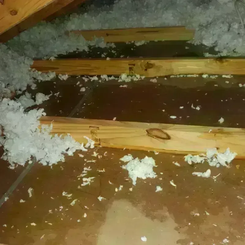 Attic Water Damage in Breckenridge Hills, MO